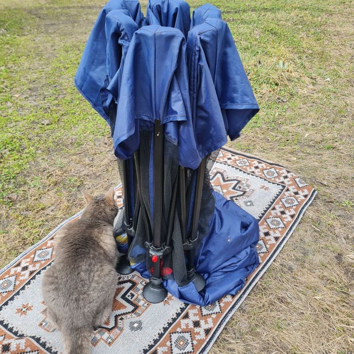 Мобільний манеж lionelo