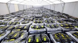 Dostępny Ekogroszek energo EXTRA PREMIUM+ workowany suchy