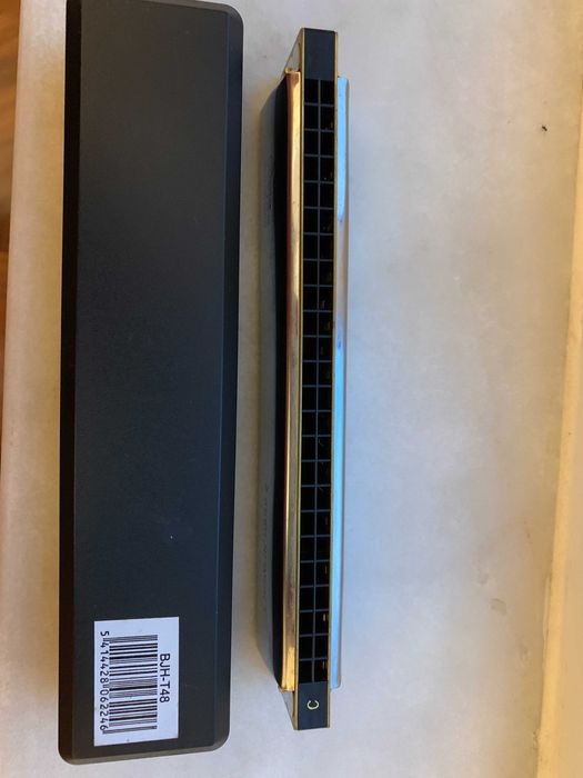 HARMONICA by Stagg Howlin Harp431740298996623361