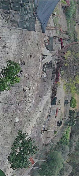 Aves várias para venda, faisões, patos mudos, gansos badoca, fracas, c