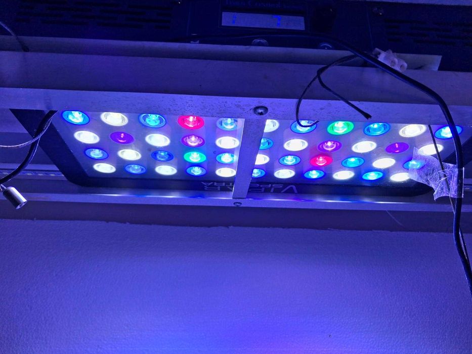 Luzes para agua salgada