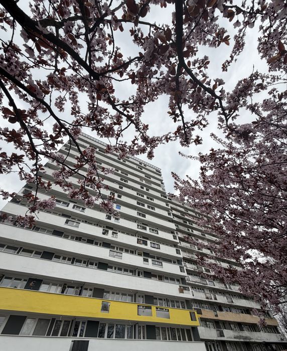 Mieszkanie 3 pokojowe na os. Tysiąclecia - Katowice