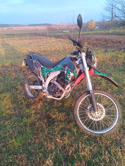 Продам лось 250 лонцін