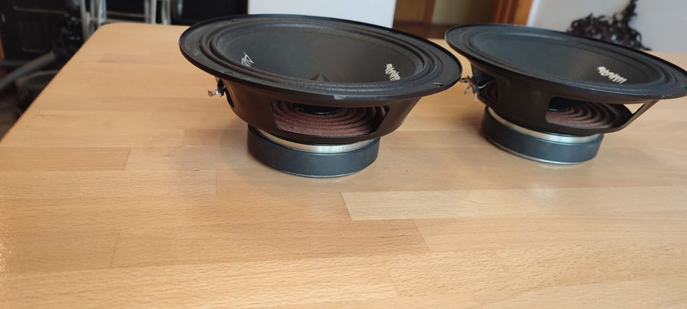 Естрадні динаміки Aura Storm-8 (20 см)