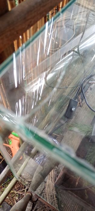 Terarium z oświetleniem