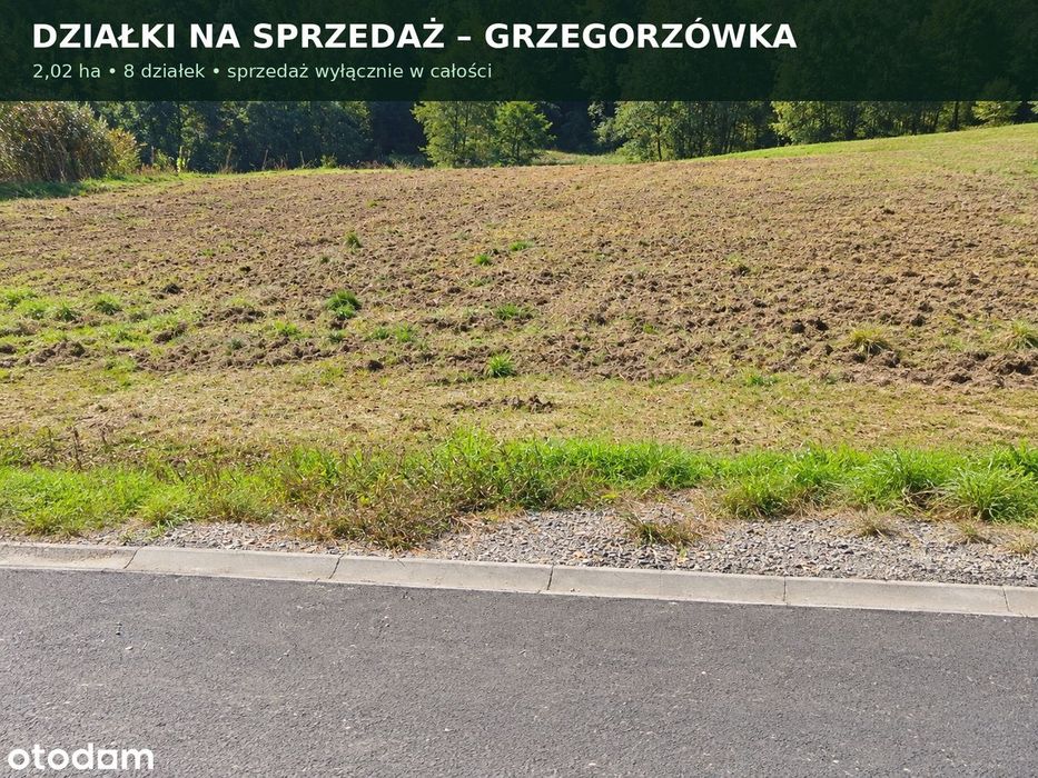 Grzegorzówka – 2,02 ha z pasem zabudowy i dostępem do drogi asfaltowej