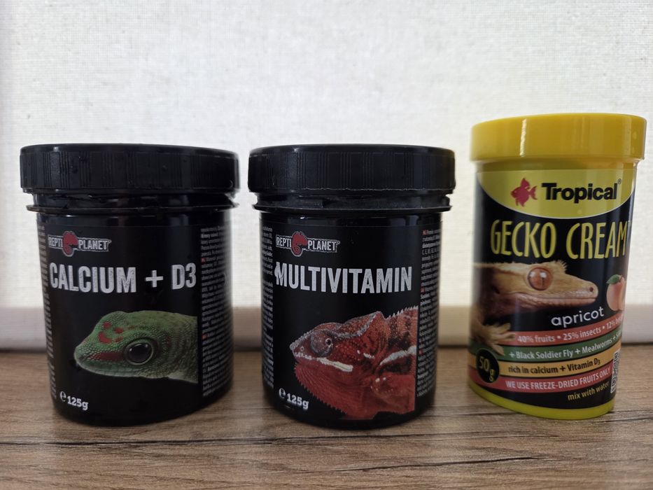 Gekon,jaszczurka - akcesoria