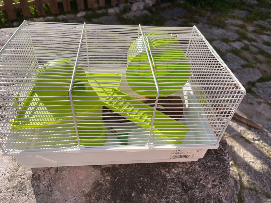 Gaiola de ratinho anão ou hamster.