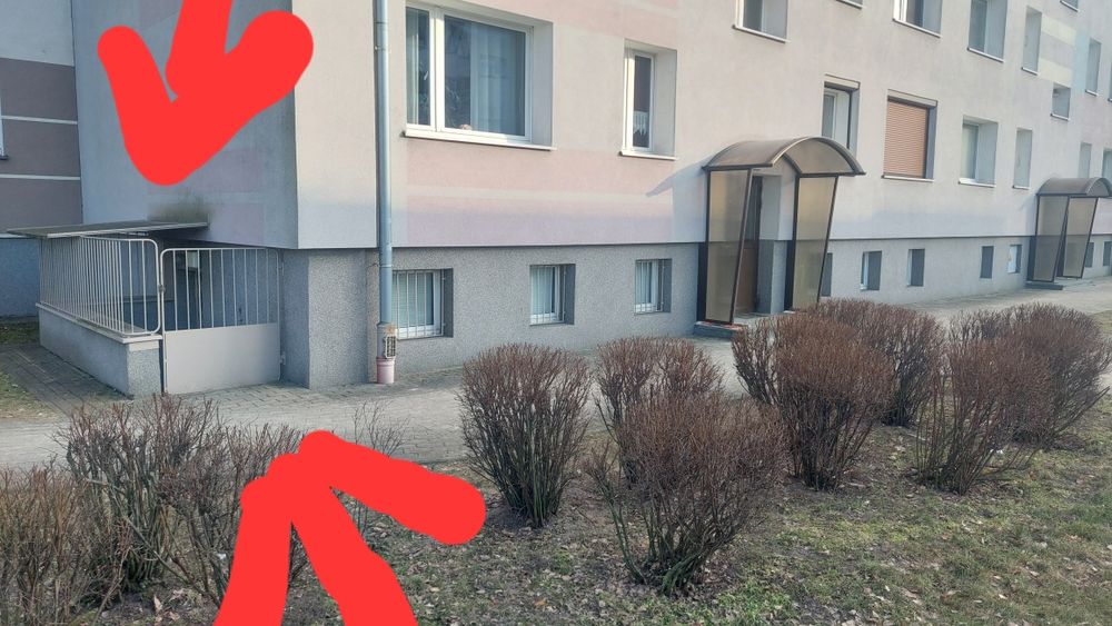 Wynajmę Lokal usługowy