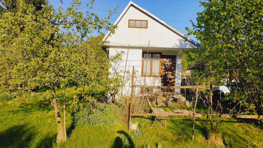 Sprzedam działkę ROD Jaskólka w Mościcach nr 48 A koło Tarnowa - Widok 4