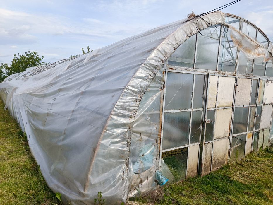 Sprzedam tunel cena do uzgodnienia