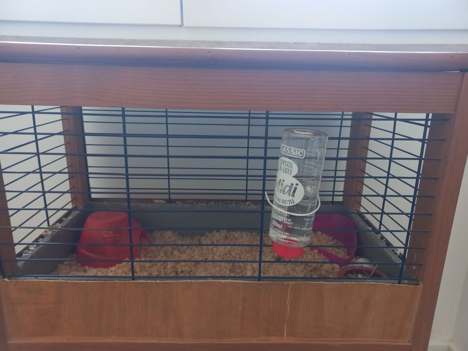 Gaional para Roedores