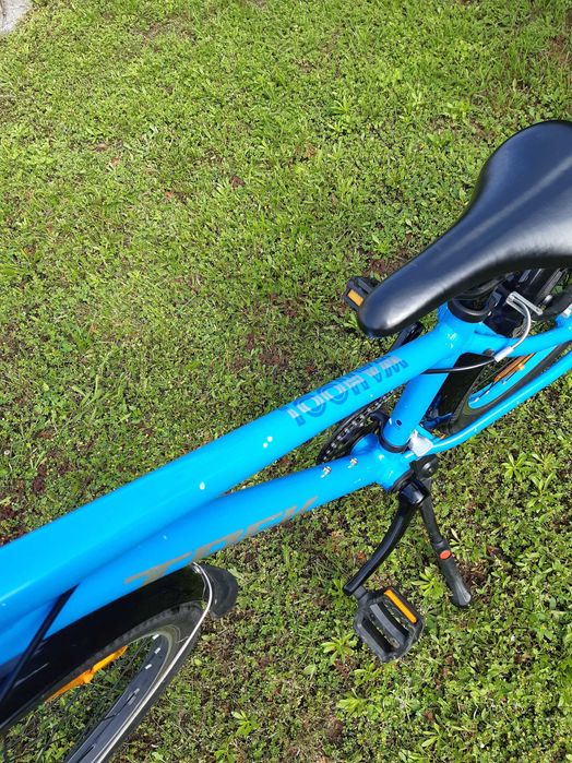 Rower Trek wahoo 24
