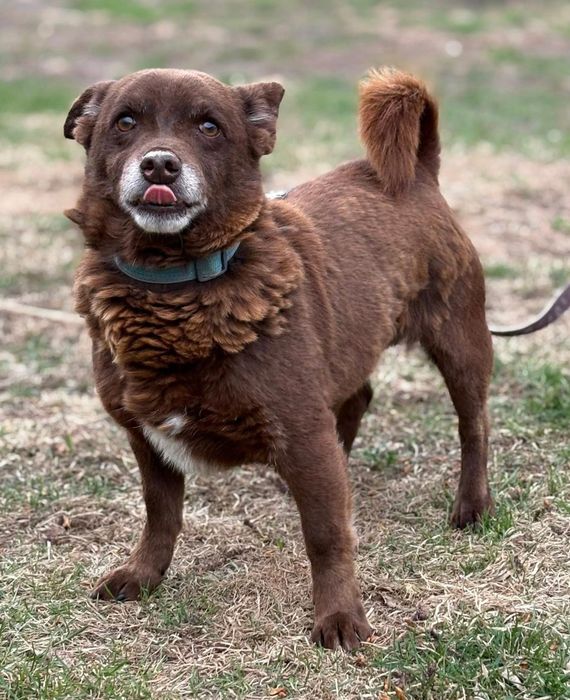 Malutki, spokojny Taraś do adopcji!