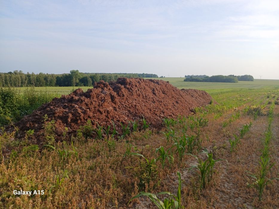 Podłoże popieczarkowe , obornik, gnój