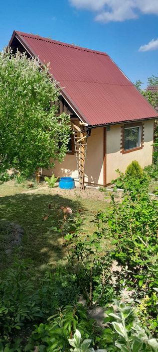 Sprzedam działkę ogródek działkowy w Szczecin Bukowe - Widok 2