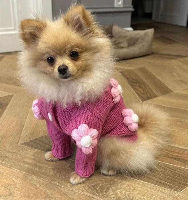 Светрик для собачки