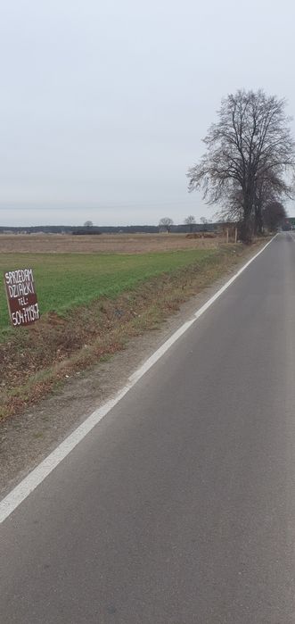 Działki budowlane