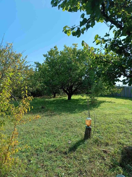 House by the address (area 298 m²) - Atlanta.ua - photo 12