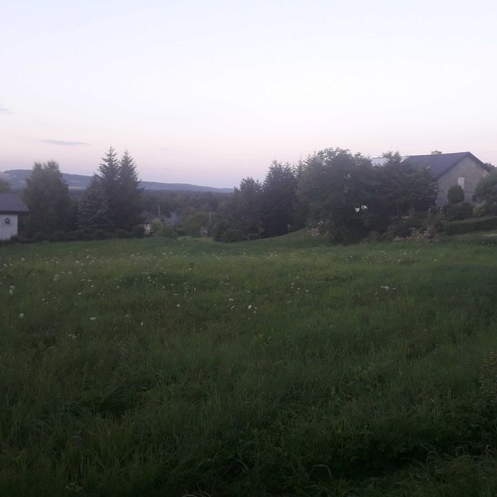 Zdjęcie 2