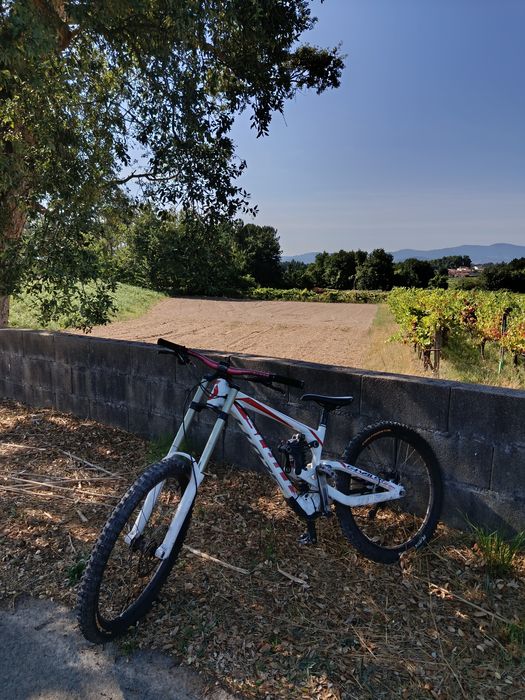 Bicicleta downhill