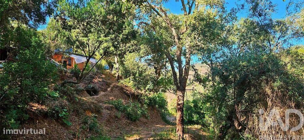 Terreno T1 em Marmelete de 40400,00 m2