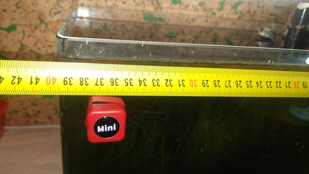 Akwarium krewetkarium sakura red i red cherry i rasowy glon około 200