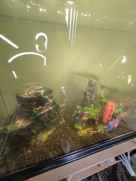 Aquário de 100 com suporte em ferro l com arrumação