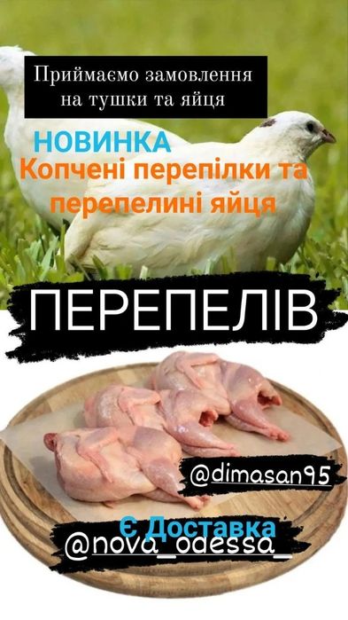 Тушки ,яйця перепелів.