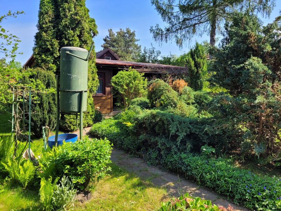 Działka ROD Zerżeń Borowiecka - Widok 2