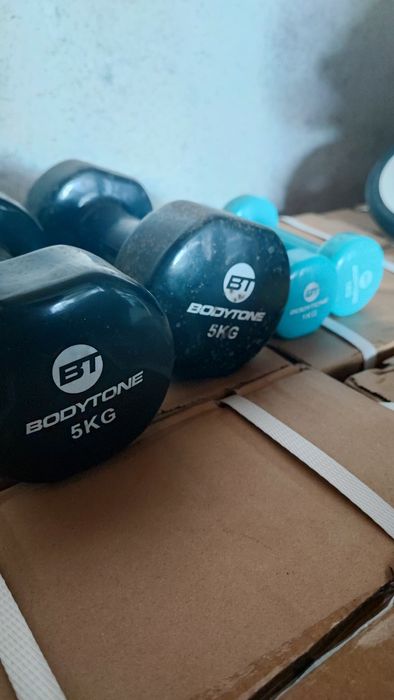 Halteres de 19 kg pesos musculação