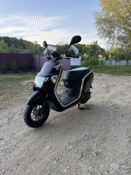 Honda Dunk Свіжий