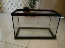 Quer ter peixes e precisa de um aquário, aqui está um para a solução