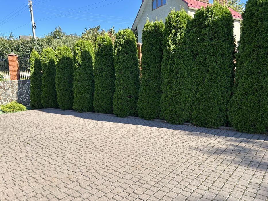 Продається будинок в дуже гарній локаціі ,з велик та гарним  на  місті