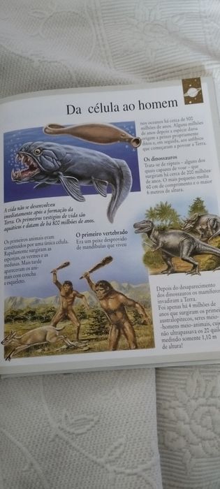 Vendo 10 livros didáticos com oferta de 6 puzzles