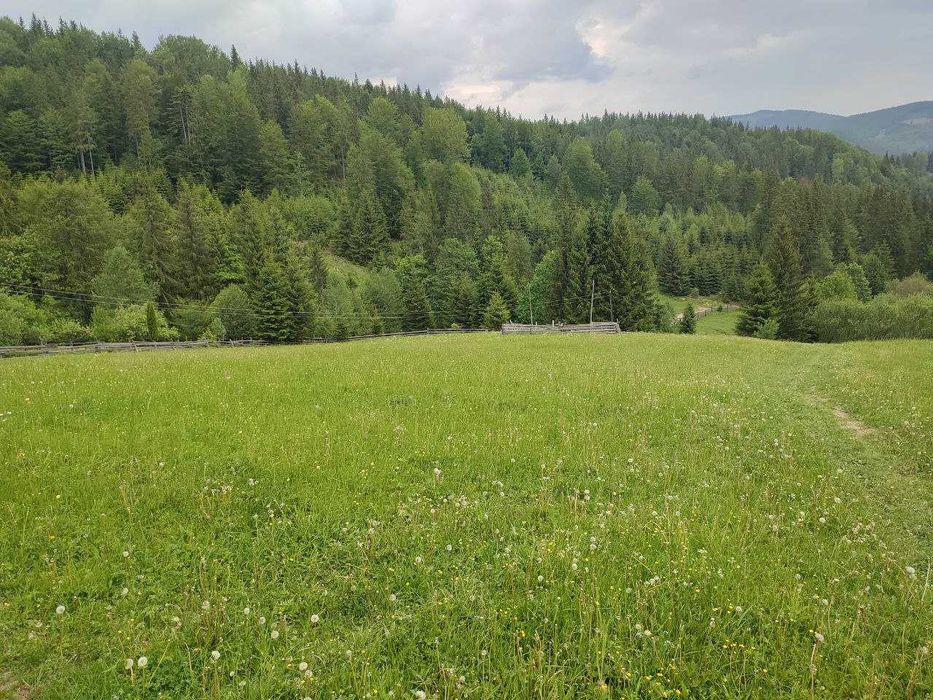 Продається земельна ділянка в серці Карпат ( Кривопільський перевал )