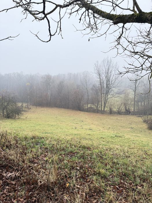 Будинок з великою ділянкою Косів