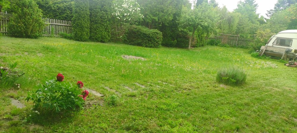 Działka ROD Niezapominajka w Staświnach