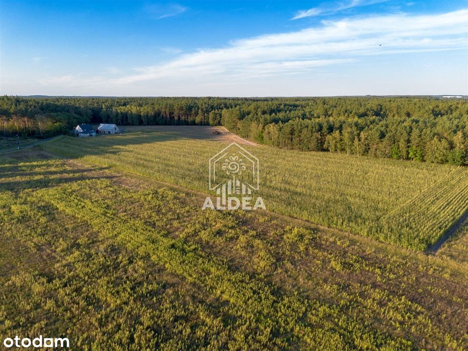 Działki budowlane pod lasem w Jakubowie