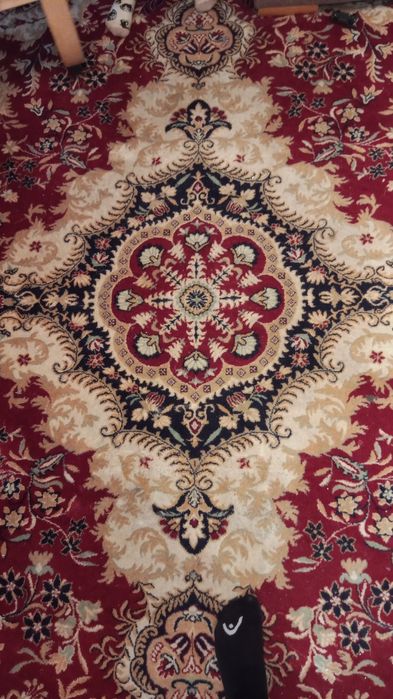 Dywilan dywan królewski bordo 250x360