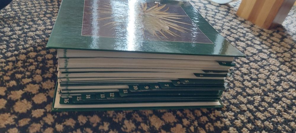 Kwiaty w moim domu album katalog