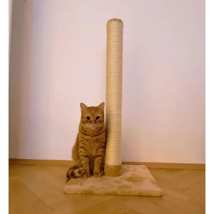 Słupek do drapania| NOWY | różne kolory