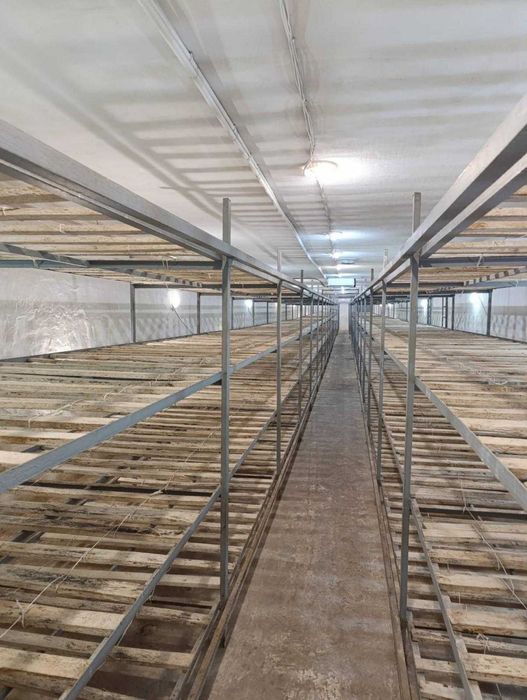 Продаж виробничого комплексу 2044м2 Чуднівський район, с. Дубище