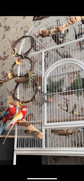 Вольєр, клітка для папуг б/у, ТОРГ
