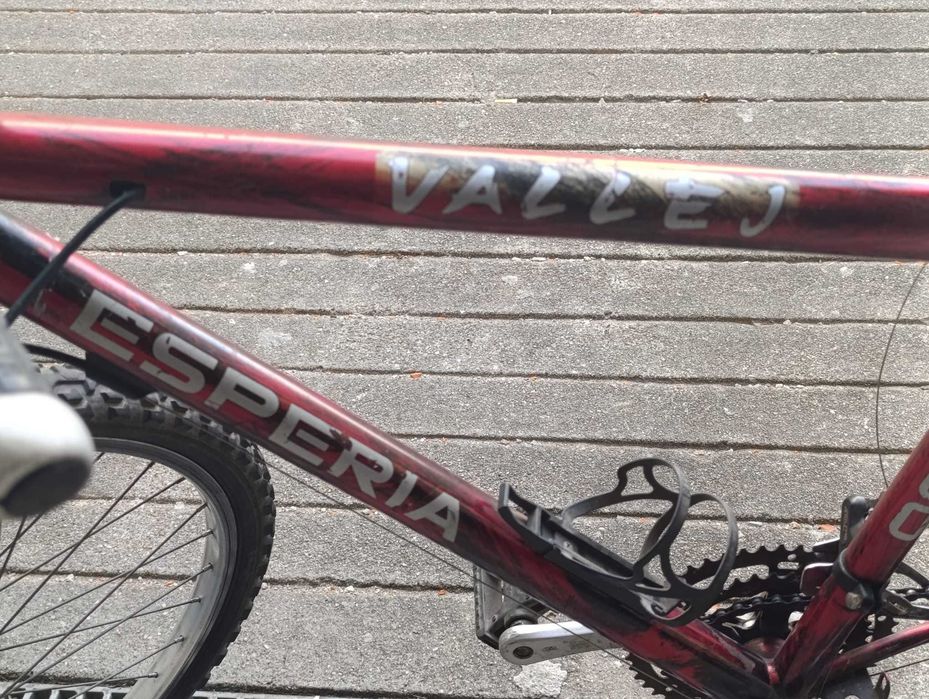 Bicicleta VALLEJ Esperia