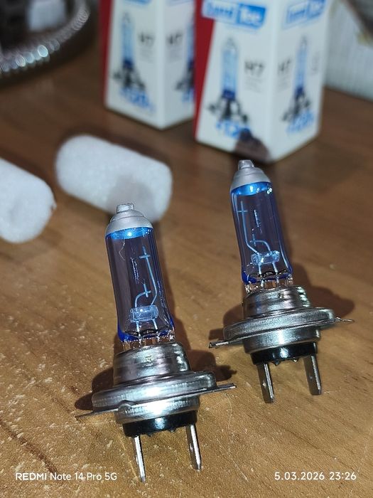 Żarówki halogenowe H7 Amio 4300K LumiTec polski producent żarówek H7