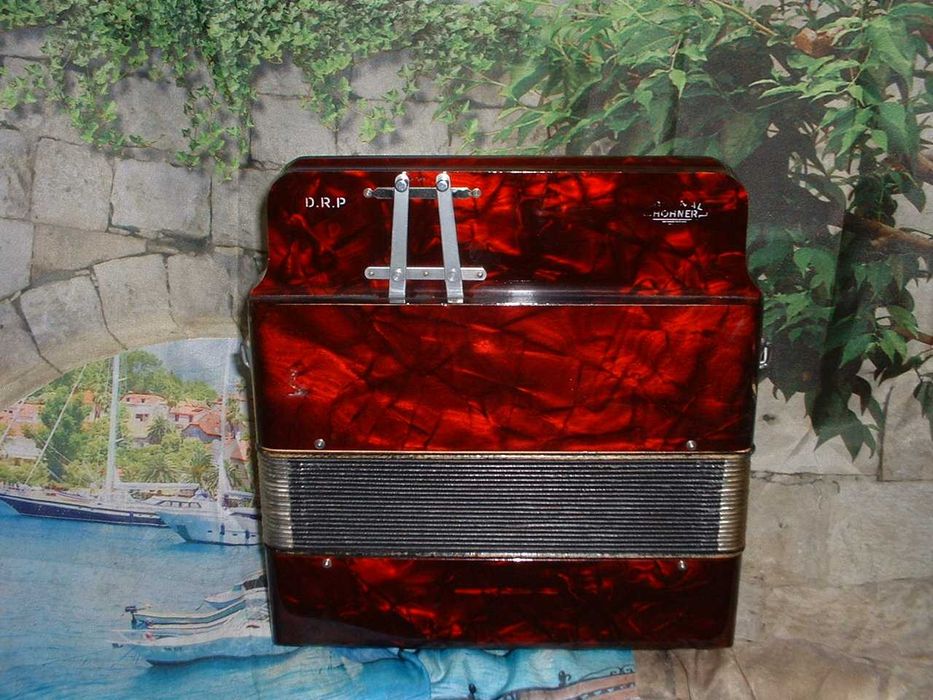 Concertina a venda n.829