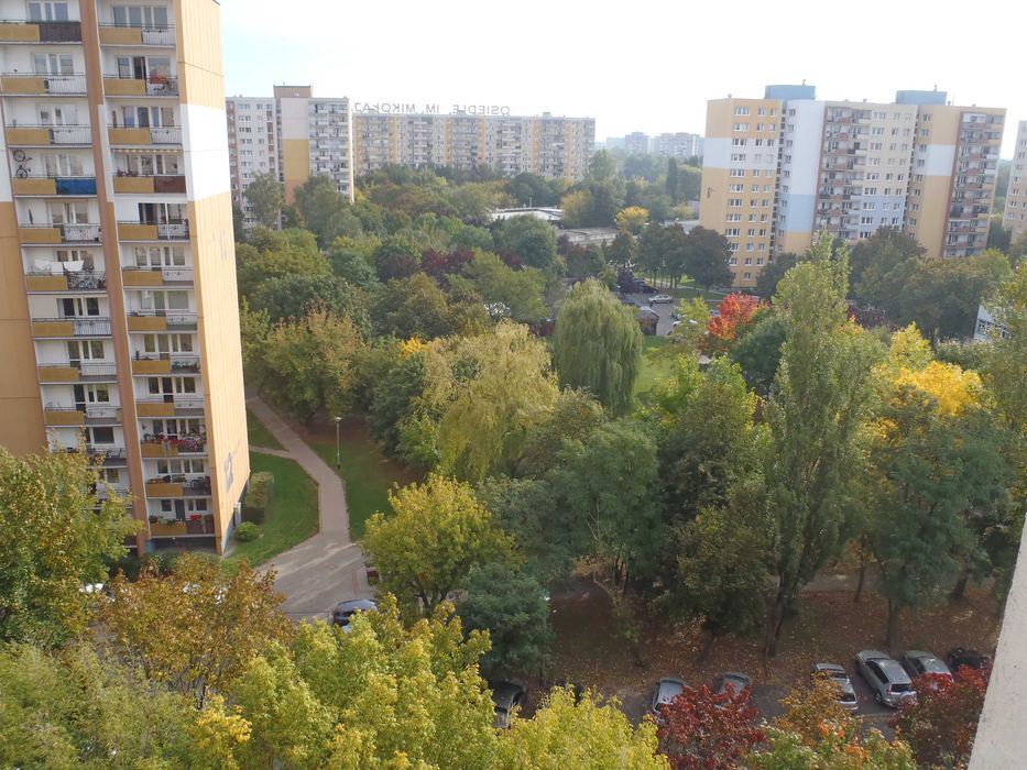 Ładny pokój dla mężczyzny