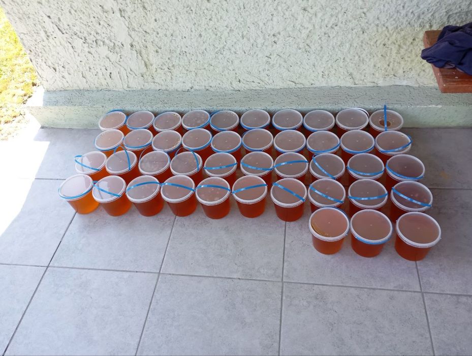 Мед свіжий 2025 соняшник