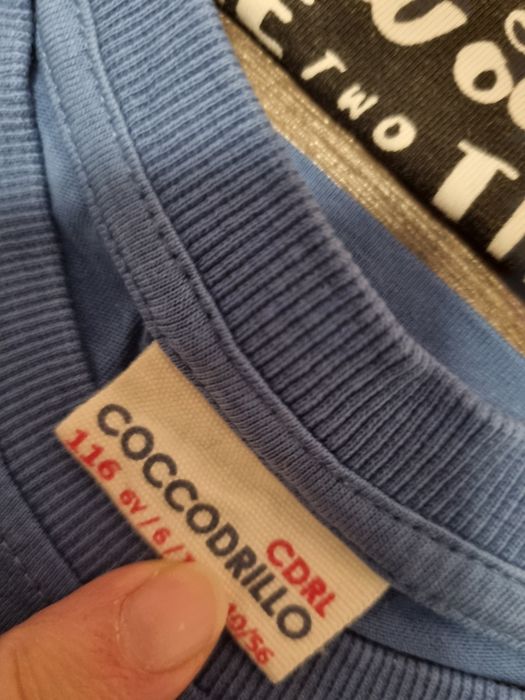 Paka letnich podkoszulek Tshirty Cocodrillo 51015 r 116